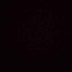 Meet your Posher, Sandy